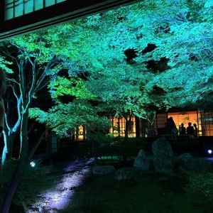 京都,癒し,アート,お寺,庭園の画像