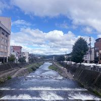 ブドウ,アオツヅラフジ,飛騨高山の朝市,とうがらし福耳,とうがらしツリーの画像