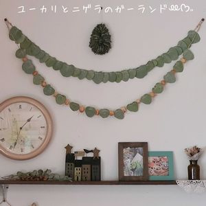 ニゲラ,ユーカリ,ドライフラワー,手作り,花のある暮らしの画像