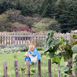 イングリッシュガーデン,お出掛け先,山梨県,ピーターラビット,本栖湖の画像