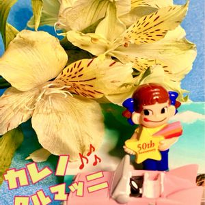 アルストロメリア,切り花,iPhone撮影,スマホ撮影,ペコちゃん祭りの画像