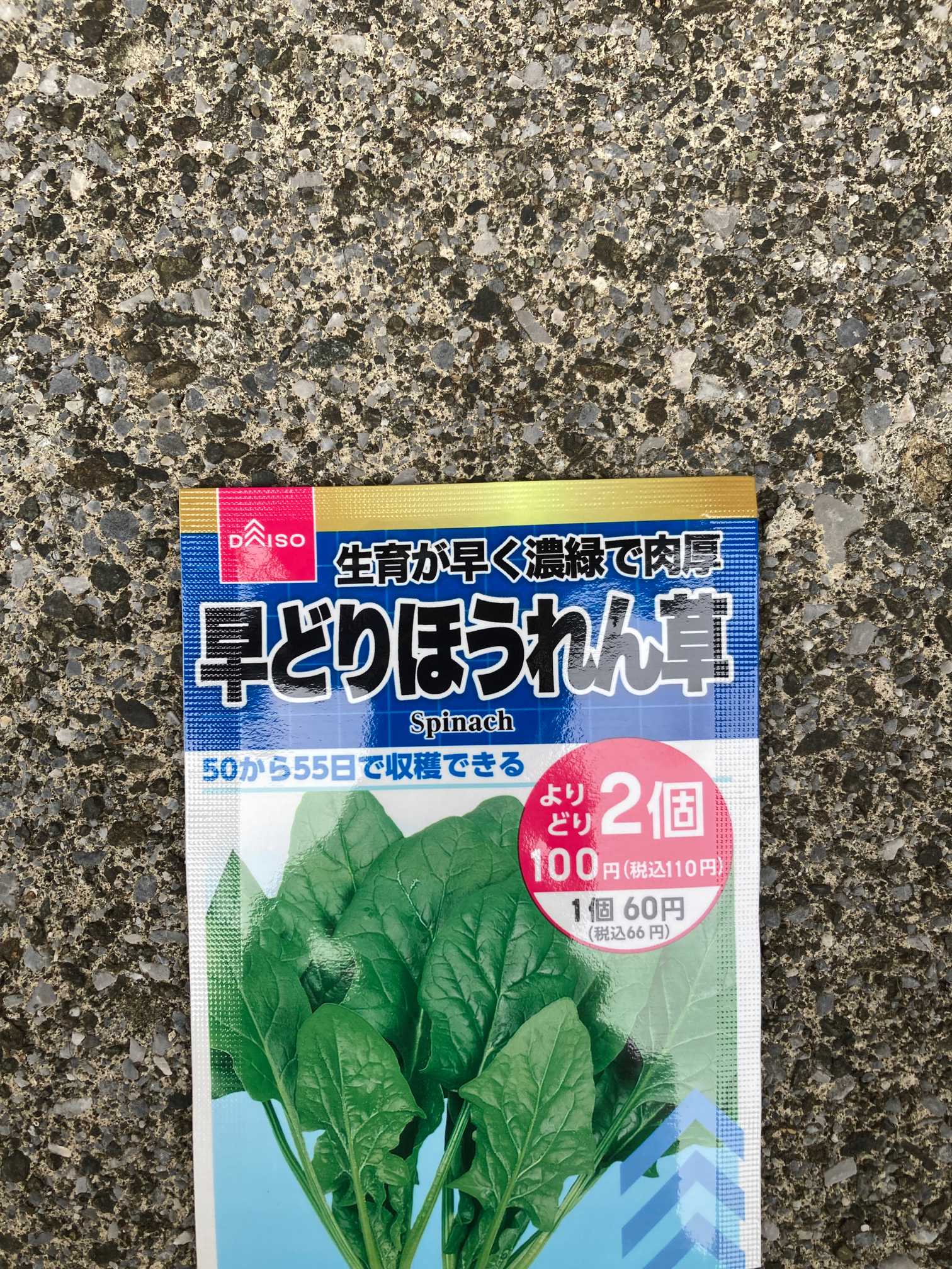 ダイソー 早どりほうれん草｜🍀GreenSnap（グリーンスナップ）