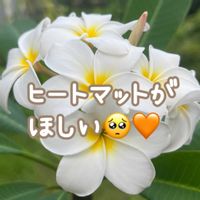 バナナ,プルメリア,南国植物,NIJIIRO no NIWA,花が好きすぎるの画像