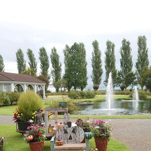 寄せ植え,花のある暮らし,ハロウィン,イングリッシュガーデン,水辺の風景の画像