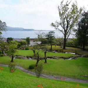 ヒガンバナ,桜島,赤い花,日本庭園,多年草の画像