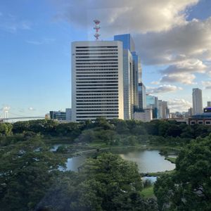 都会の庭園,都会の庭園,庭園,風景,おでかけ先の画像