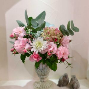 ローゼンドルフ シュパリースホープ,バラのある暮らし,私の癒し♡,薔薇愛同盟,キッチンニッチでの画像