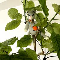 ウンベラータ,ウンベラ－タ,観葉植物,リビング,8日は葉っぱの発表会の画像