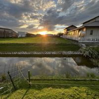 ヒメイワダレソウ,夕陽,水のある風景,雲仲間,多様性を愛する会の画像