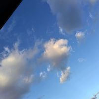 シマトネリコ,イマソラ,いまそら,今空…,雲仲間の画像