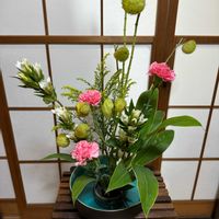 カーネーション,フウセンカズラ,リンドウ,ソリダユ,生け花の画像