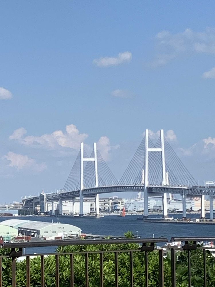 れんげそうさんの港の見える丘公園への投稿