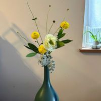 月桂樹,シュウメイギク,トルコキキョウ,秋明菊,ポンポン菊の画像