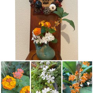 リース,生花,元気もらえる,お花のある暮らし,花器が好きの画像