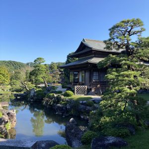 日本庭園,素敵な出会いに感謝,癒され風景,いいね♡ありがとう,旧蔵内邸の画像