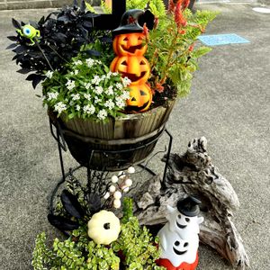 ハロウィンガーデン...Halloween Garden,エクステリア,玄関アプローチの画像