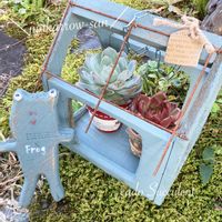 エケベリア,多肉植物,エケベリア属,junk arrowさん,shiho_hachiさんのリメ鉢の画像