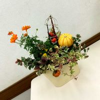 かぼちゃ,フラワーアレンジメント,寄植え,アナナス,季節の花の画像