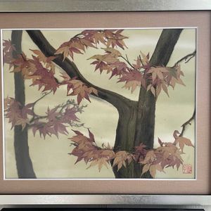 モミジ,紅葉,押花の額,紅葉（こうよう）,もみじ紅葉の画像