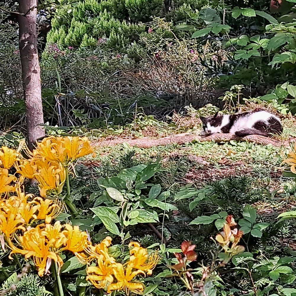 エリィさんの港の見える丘公園への投稿