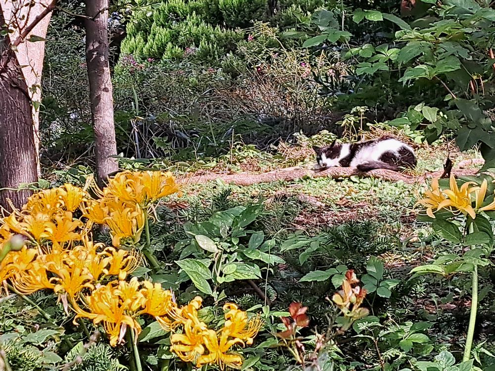 エリィさんの港の見える丘公園への投稿