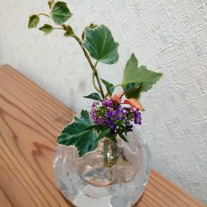 植え替え,植欲の秋,玄関アプローチの画像