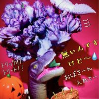 ユーフォルビア マハラジャ,ベランダ多肉,ハロウィン,iPhone撮影,スマホ撮影の画像