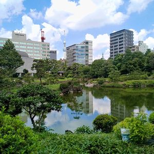 庭園,そら,水鏡,木のある風景,池のある風景の画像