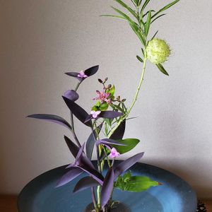 生け花,花のある暮らし,水盤生け,植物のある暮らし,水盤の画像