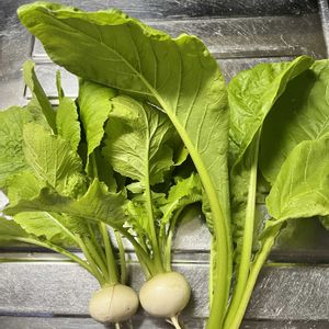 プランター野菜,カラフルお花,プランター栽培,バルコニー,ランニング中の画像