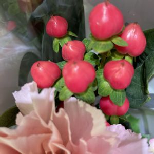 カーネーション,ヒペリカム,ヒペリカム,ヒペリカム,薔薇の画像