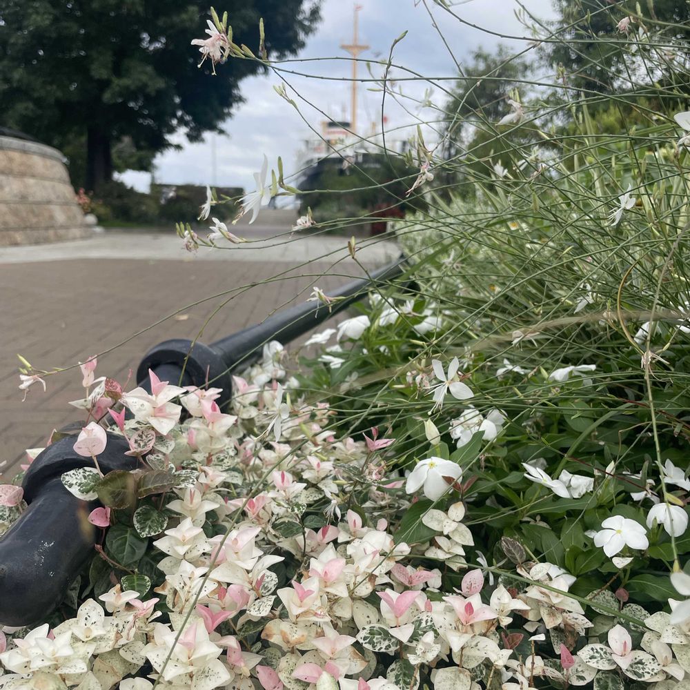 あーちゃんさんの山下公園への投稿