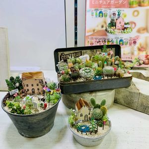 サボテン寄せ植え,箱庭,かわいいな♡,ミニチュア,葉っぱ好きの画像