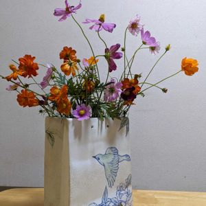 コスモス,秋桜,秋桜(コスモス),花瓶,花器の画像