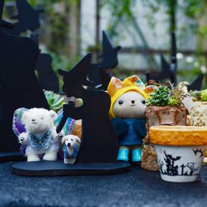 多肉植物,ガーデン雑貨,ハロウィン,本牧元町,ぽろくんの画像