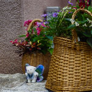 寄せ植え,ガーデン雑貨,ハロウィン,本牧元町,しろころくんの画像