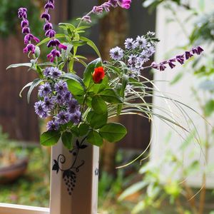 アメジストセージ,宿根アスター,庭の花,生け花の画像