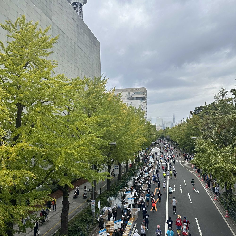 めいたんとママさんの山下公園への投稿