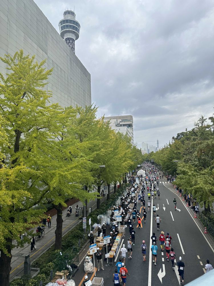 めいたんとママさんの山下公園への投稿