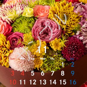 カーネーション,スプレーキク(スプレーマム),バラ、薔薇、ばら,切り花,キク科の画像