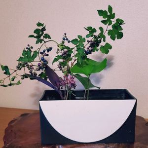 生け花,花のある暮らし,植物のある暮らし,自己流生け花の画像