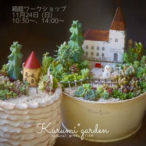 多肉植物 寄せ植え,箱庭 多肉植物,ワークショップ ,マルシェ,横浜の画像