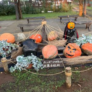 手作り,ハッピーハロウィン,ウリ科,今日のお花,花大好きの画像