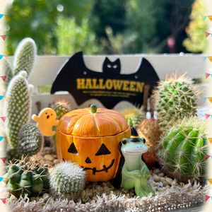 サボテンの寄せ植え,小さな箱庭,ハッピーハロウィン,カエルのコポー,ハロウィン月間の画像