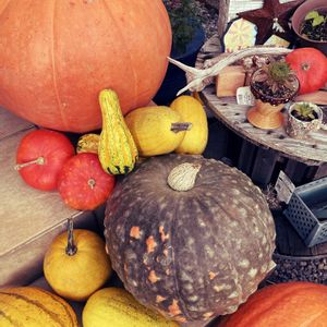 自家製野菜,ハロウィン,北海道,ハッピーハロウィン,秋はすぐそこの画像