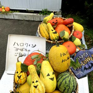 自家製野菜,ハロウィン,北海道,ハッピーハロウィン,秋はすぐそこの画像