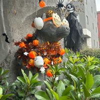 カナメモチ,ハロウィン,垣根,富山支部,玄関アプローチの画像