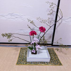 カーネーション,スプレー菊,野バラの実,いけばな,和室の画像