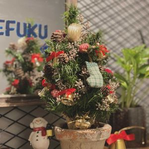 緑のある暮らし,クリスマスアレンジ,暮らしを楽しむ,ナチュラルスタイル,繋がりに感謝✨の画像