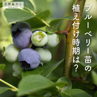 ガーデニング,植物のある暮らし,肥料,プランター栽培,自然のある暮らしの画像